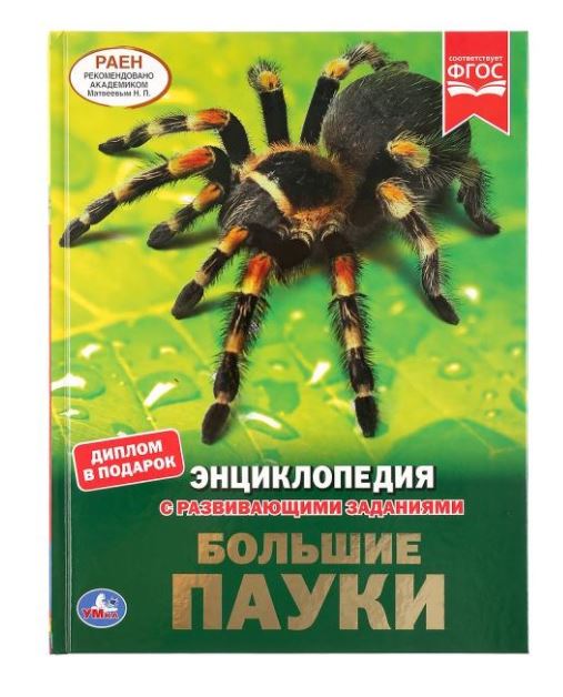Каталог :: Детские книги :: Энциклопедии :: Энциклопедия с развивающими ...