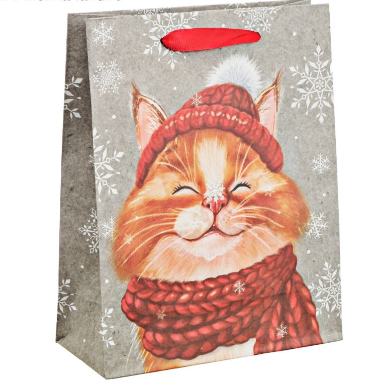 Кот в пакете рисунок