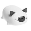 Игрушка для ванны "Котик"