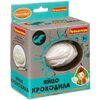 Археологические раскопки "Яйцо крокодила"