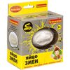 Археологические раскопки "Яйцо змеи"