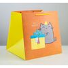 Пакет квадратный "Котик и тортик", 30×30×30 см