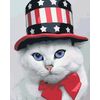Роспись по холсту по номерам "Американский кот"