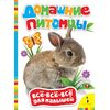 Книжка для малышей с яркими картинками "Домашние питомцы"