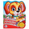 В. Степанов "Домашние животные" (1 кнопка с песенкой)