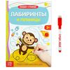 Многоразовая книжка с маркером "Лабиринты и путаницы"