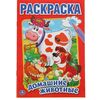 Раскраска А5 "Домашние животные"