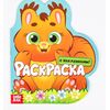 Раскраска "Белочка" и друзья + наклейки