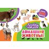 Альбом наклеек "Домашние животные" 300 наклеек