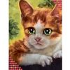 Алмазная вышивка 13 х 19 см "Котенок"