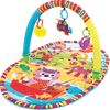 Развивающий коврик с дугами от Playgro "Прогулка"