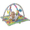Развивающий коврик с дугами от Playgro "В мире животных"