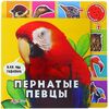 Книга "Пернатые птицы" музыкальная