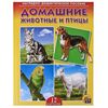 Наглядно - дидактическое пособие "Домашние животные и птицы"
