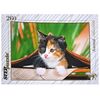 Пазл "Котенок" 260 элементов
