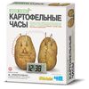 Научно-познавательный набор "Картофельные часы"