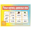 Развивающая игра "Разные картинки, одинаковые слова" (омонимы)