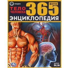 Энциклопедия "Тело человека. 365 фактов"