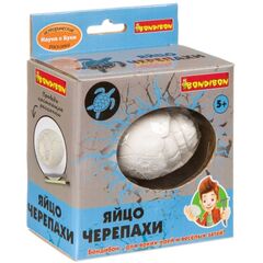 Археологические раскопки "Яйцо черепахи"