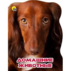 Книга "Мир животных. Домашние животные"