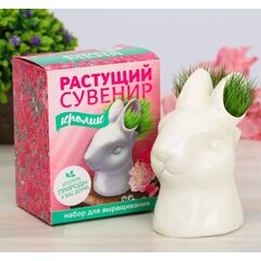 Растущий подарок, трава в горшочке "Кролик"