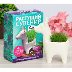 Растущий подарок, трава в горшочке "Олененок"