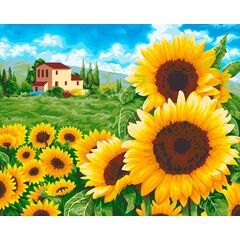 Роспись по холсту по номерам "Подсолнухи", 40×50 см