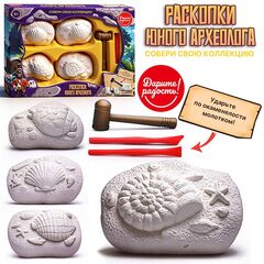 Набор археолога 4 в 1 "Ракушки