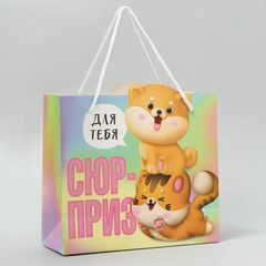Пакет подарочный "Сюрприз для тебя" 25×22×10 см