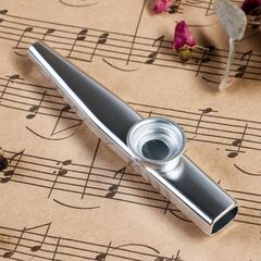 Музыкальный инструмент "Казу Music Life" цвет серебристый