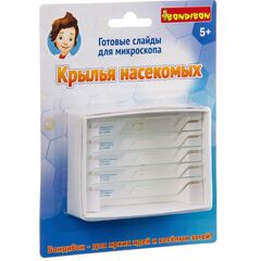 Готовые слайды для микроскопа "Крылья насекомых" 5 штук