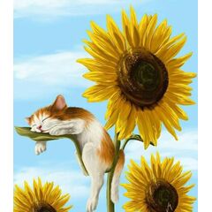 Алмазная вышивка "Котик на подсолнухе"