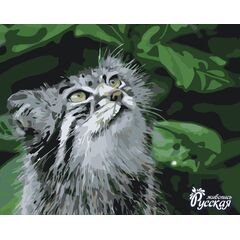 Роспись по холсту по номерам "Кот Манул"