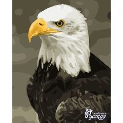 Роспись по холсту по номерам "Орел"