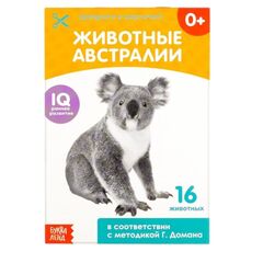 Обучающая книжка "Животные Австралии" по методике Домана