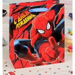 Пакет подарочный "Человек паук" 27×23см