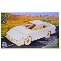 Сборная модель из дерева "Ралли автомобиль"
