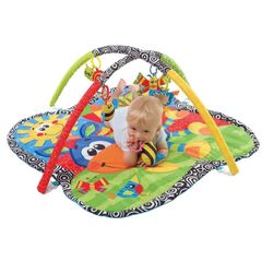 Развивающий коврик с дугами от Playgro "Ослик"