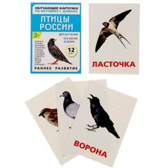 Обучающие карточки по методике Г. Домана "Птицы России"