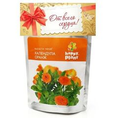 Набор для выращивания "Календула оранж"