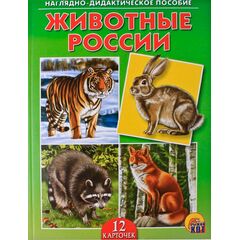 Наглядно - дидактическое пособие "Животные России"