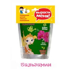Набор для выращивания Бальзамин