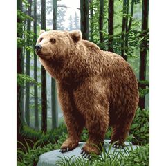 Роспись по холсту по номерам "Бурый мишка", 40×50 см