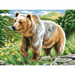 Роспись по холсту по номерам "Медведь", 30×40 см
