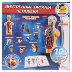 Развивающий набор "Внутренние органы человека", 10 частей тела