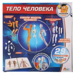 Развивающий набор "Тело человека", 29 элементов