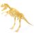 Игровой набор "Скелет динозавра в тубусе", вариант 1