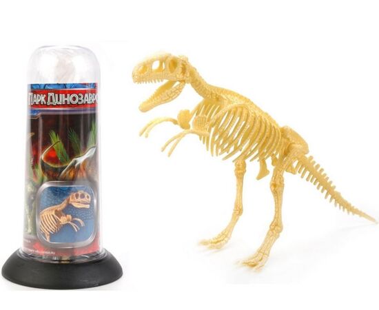 Игровой набор "Скелет динозавра в тубусе", вариант 1