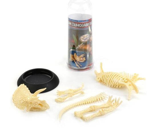 Игровой набор "Скелет динозавра в тубусе", вариант 3
