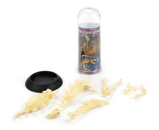 Игровой набор "Скелет динозавра в тубусе", вариант 4